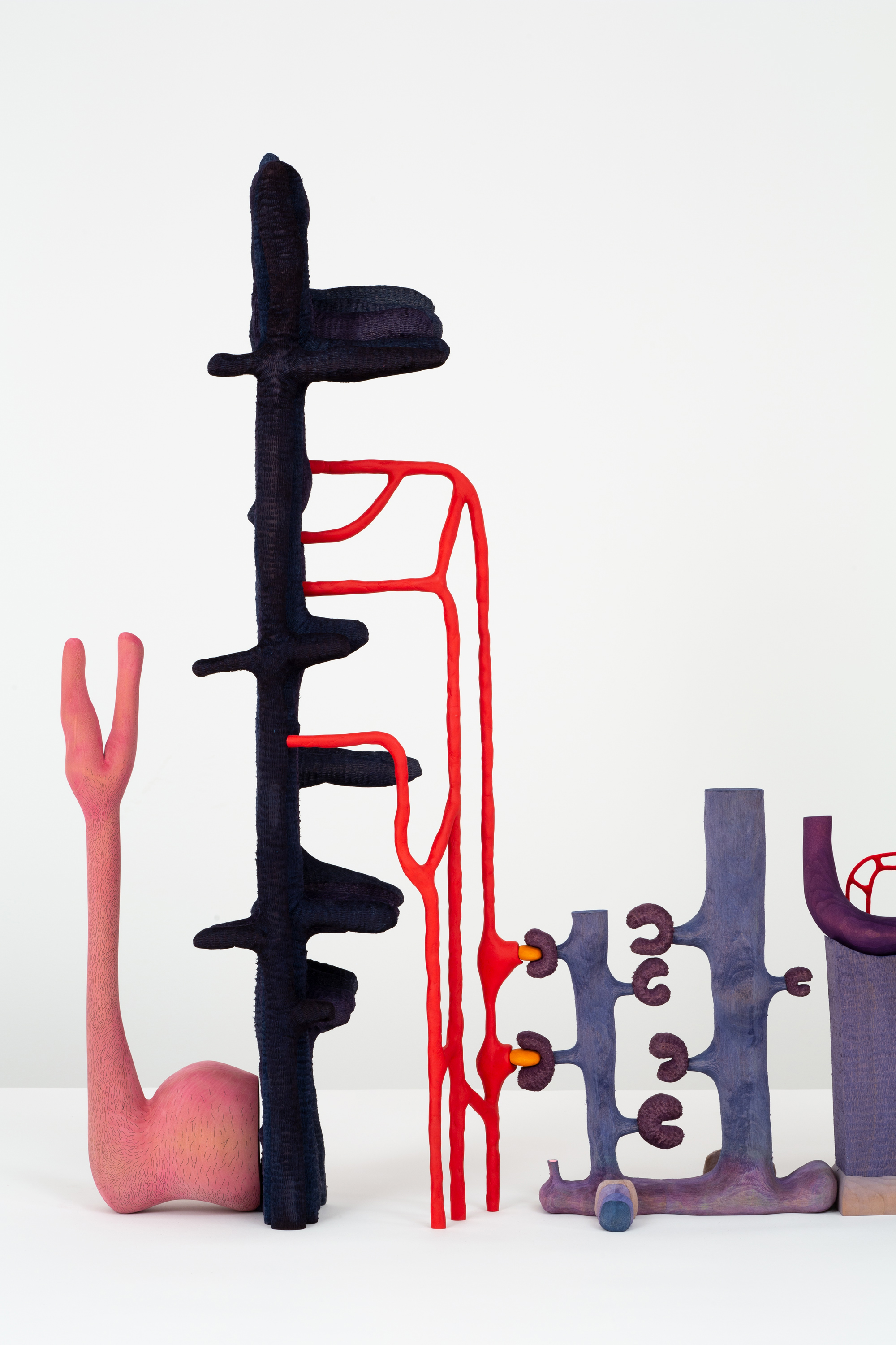 The Crack The Swell an Earth and Ode